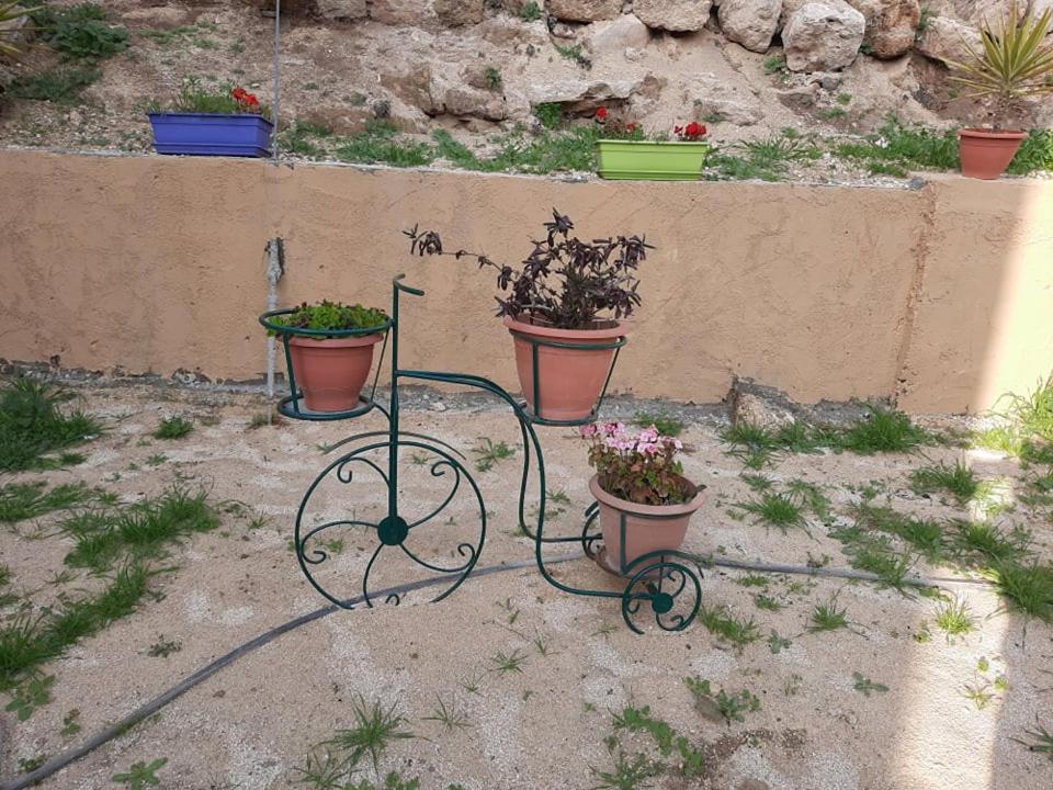 Emile Altwal Madaba Exterior photo