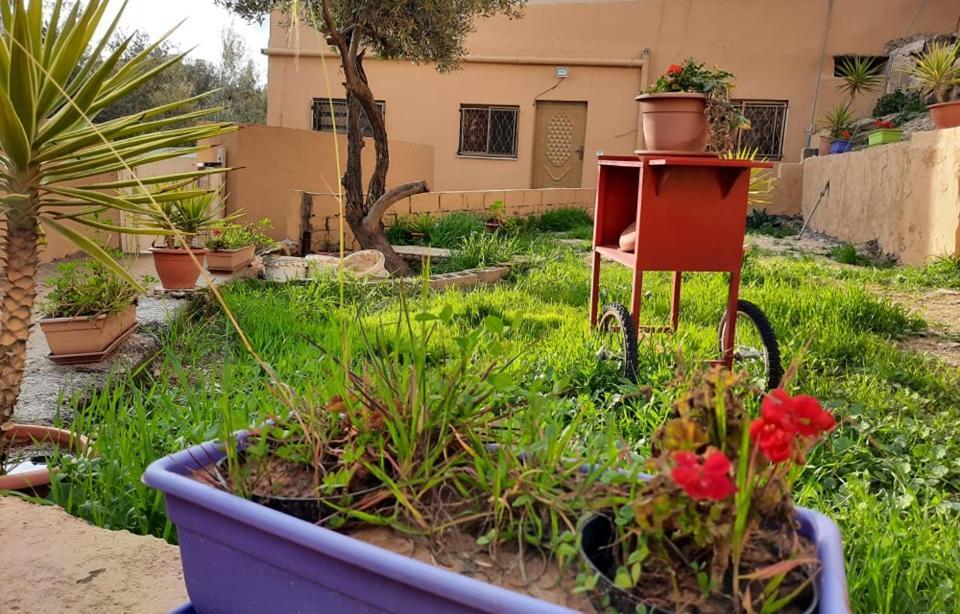 Emile Altwal Madaba Exterior photo